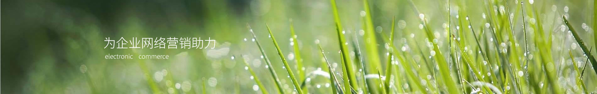 ٹһƼ޹˾